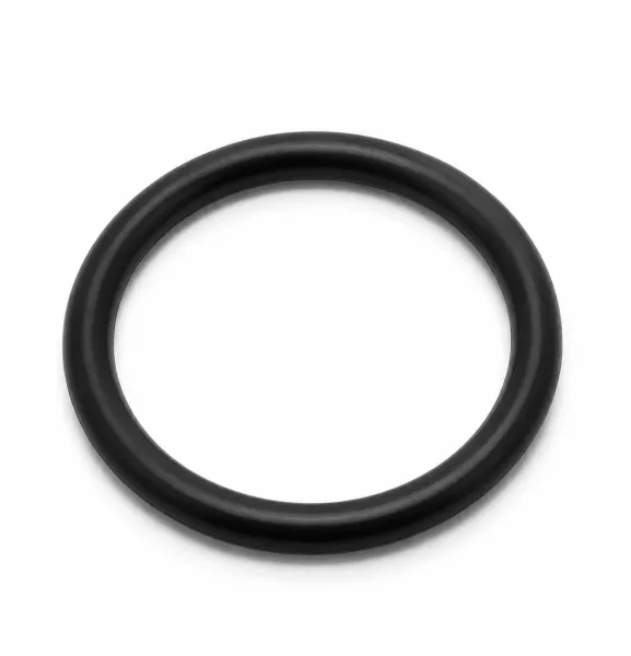 Уплотнение кольцевое Coltri OR-3100