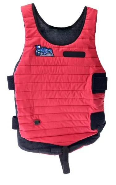 Жилет с электроподогревом LDR-Tec