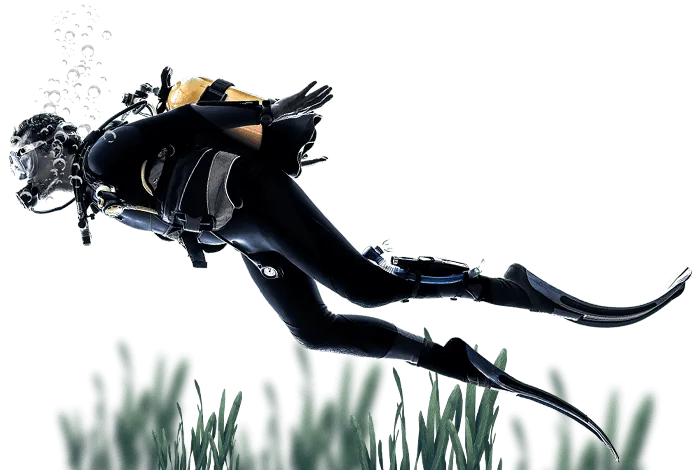 Подводное снаряжение от лучших мировых производителей