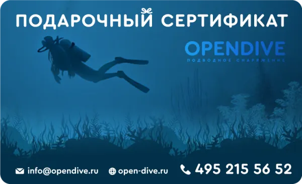 Электронные подарочные сертификаты 