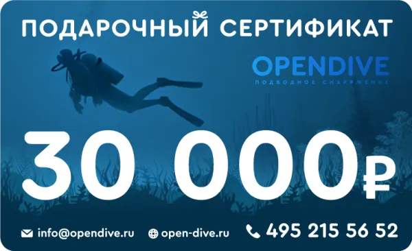 Подарочный сертификат Opendive на 30000 рублей