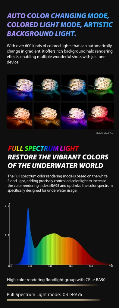 1737616693438409.jpg 1737616693438409.jpg