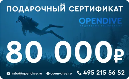 Электронный подарочный сертификат Opendive на 80000 рублей