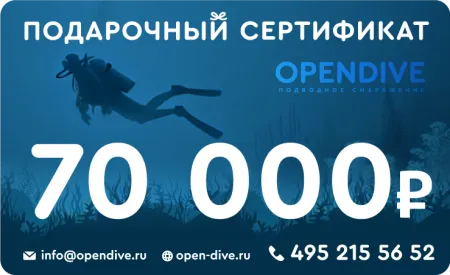Электронный подарочный сертификат Opendive на 70000 рублей