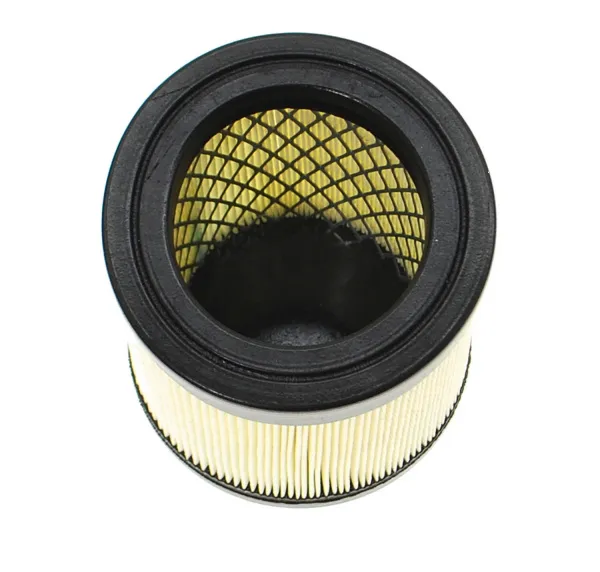 Картридж всасывающего патрубка Coltri Sub MCH-20-30-36 до 2011