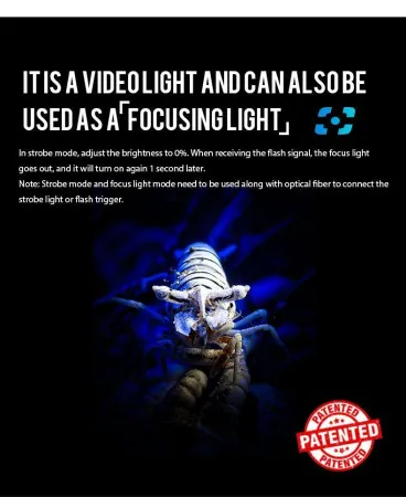 Подводный осветитель Weefine Smart Focus 5000 Люмен v.2