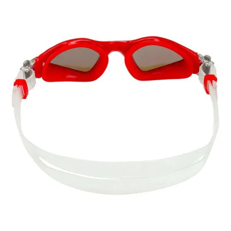 Очки Aqua Sphere Kayenne Small Titanium зеркальные линзы