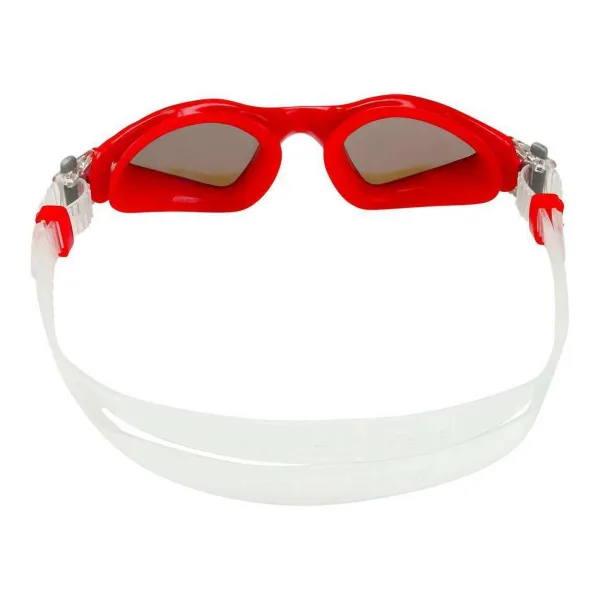 Очки Aqua Sphere Kayenne Small Titanium зеркальные линзы