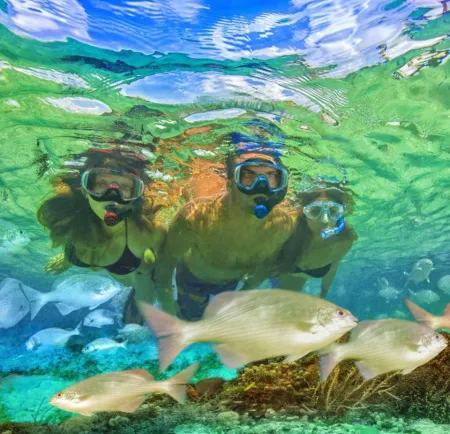 Комплект маска трубка в сумке Tusa UC-1625 Black Series