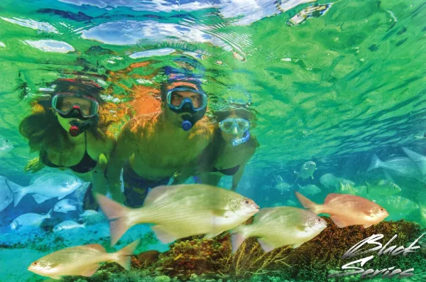 Комплект маска трубка в сумке Tusa UC-3125 Black Series