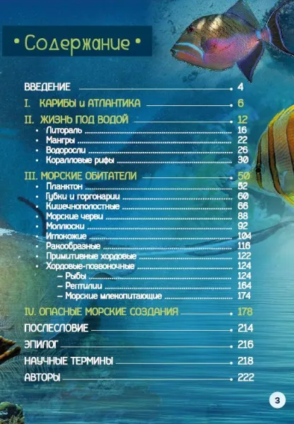 Книга "Подводные чудеса Карибов"