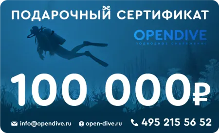 Подарочный сертификат Opendive на 100000 рублей