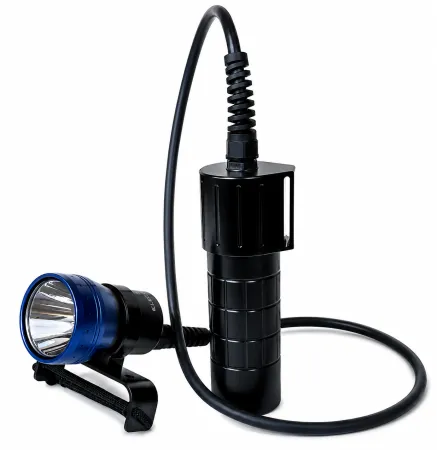 Канистровый фонарь Dive Electronics L-4000 Люмен с прямым выходом