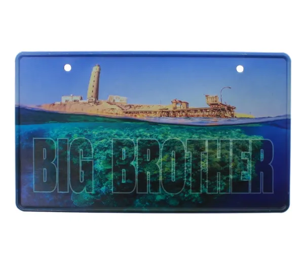 Табличка номерной знак металлический Big Brother