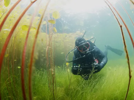 Гидрокостюм мужской Bare Revel 5 мм