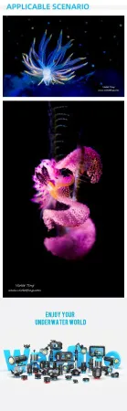 Подводный осветитель Weefine Smart Focus 5000 Люмен v.2