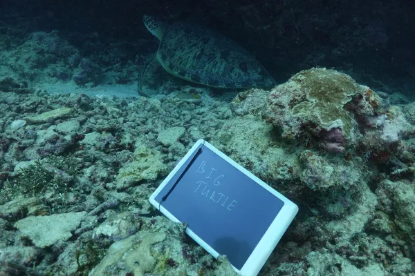 Электронный подводный блокнот Duslate Электронный подводный блокнот Duslate