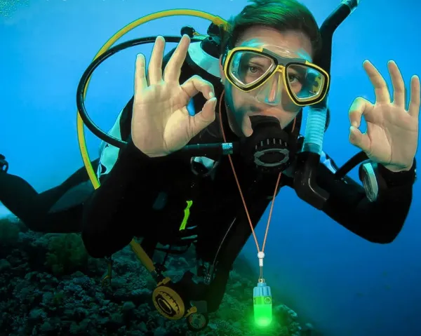 Проблесковый маячок Sea Frogs Проблесковый маячок Sea Frogs