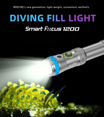 Фонарь осветитель Weefineм WF079 Smart Focus 1200FR