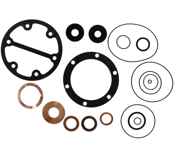 Комплект уплотнителей для МСН-6