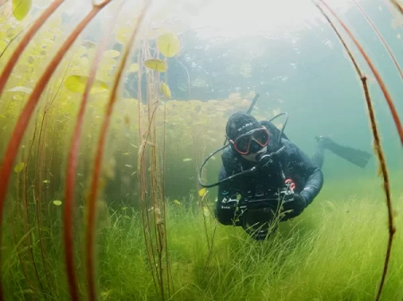 Гидрокостюм мужской Bare Revel 5 мм