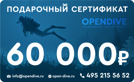 Электронный подарочный сертификат Opendive на 60000 рублей