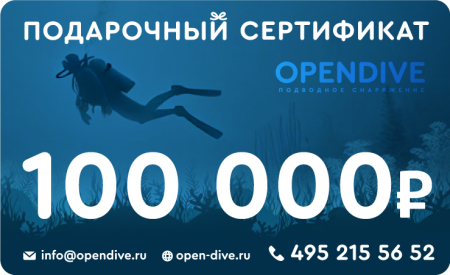 Электронный подарочный сертификат Opendive на 100000 рублей